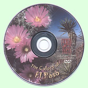 The Colors of El Paso