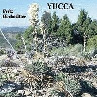 Yucca