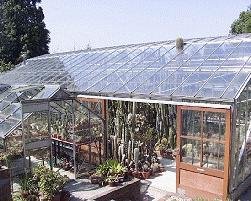Main Greenhouse
